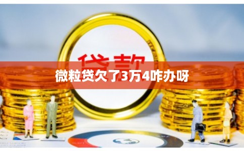 微粒贷欠了3万4咋办呀 微粒贷欠了3万4咋办呀