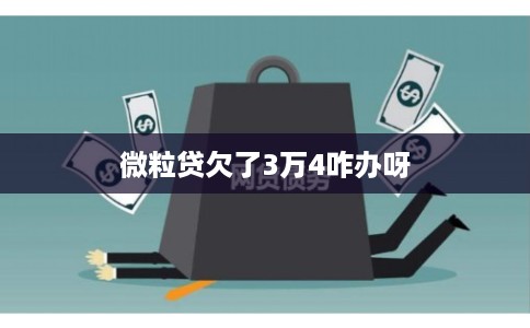 微粒贷欠了3万4咋办呀