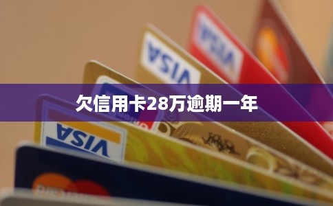 欠信用卡28万逾期一年