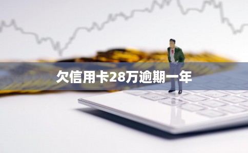 欠信用卡28万逾期一年