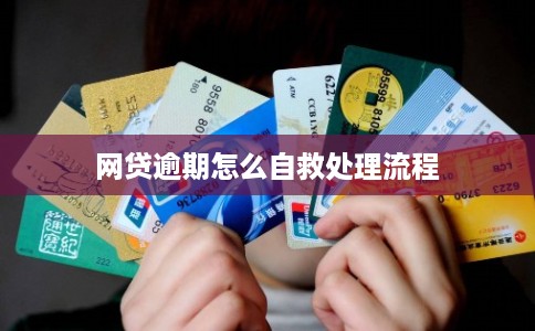 网贷逾期怎么自救处理流程