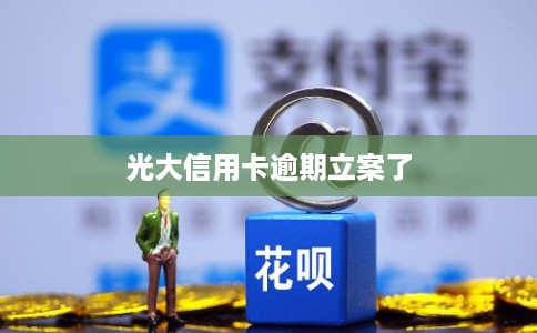 光大信用卡逾期立案了