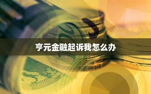 亨元金融起诉我怎么办