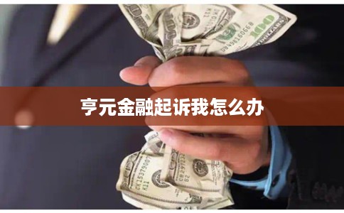 亨元金融起诉我怎么办