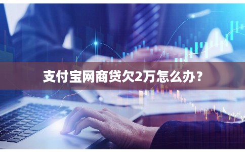 支付宝网商贷欠2万怎么办? 支付宝网商贷欠2万怎么办?