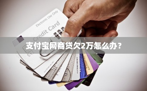 支付宝网商贷欠2万怎么办?