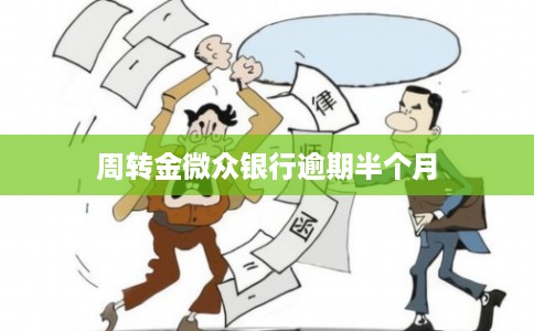 周转金微众银行逾期半个月