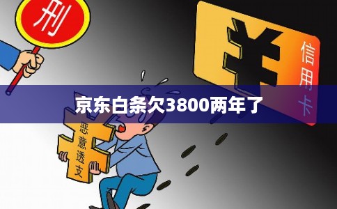 京东白条欠3800两年了