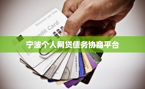 宁波个人网贷债务协商平台