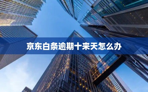 京东白条逾期十来天怎么办