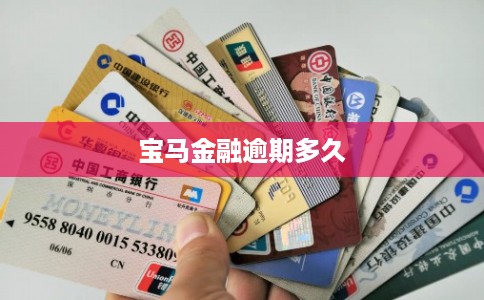 宝马金融逾期多久