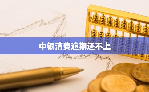 中银消费逾期还不上