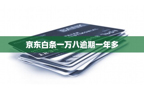 京东白条一万八逾期一年多