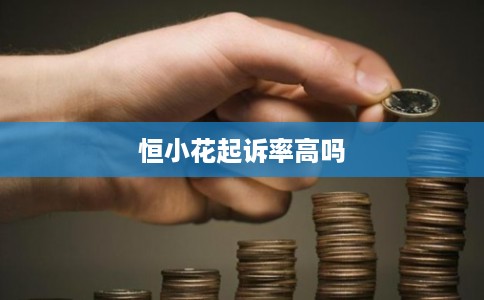 恒小花起诉率高吗