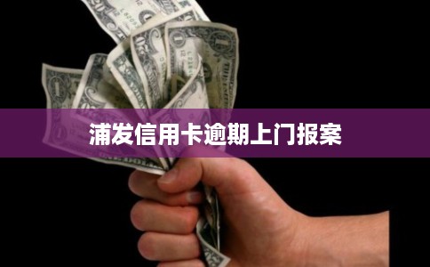 浦发信用卡逾期上门报案