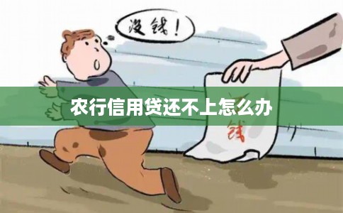 农行信用贷还不上怎么办