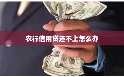农行信用贷还不上怎么办