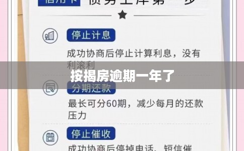 按揭房逾期一年了