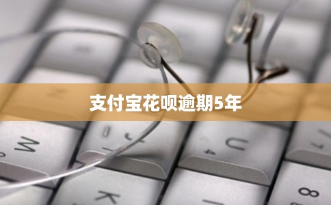 支付宝花呗逾期5年