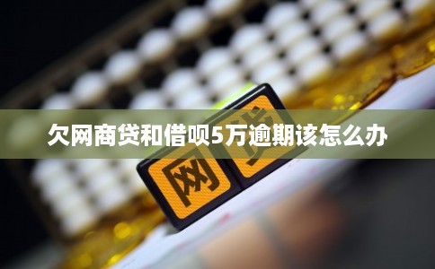 欠网商贷和借呗5万逾期该怎么办