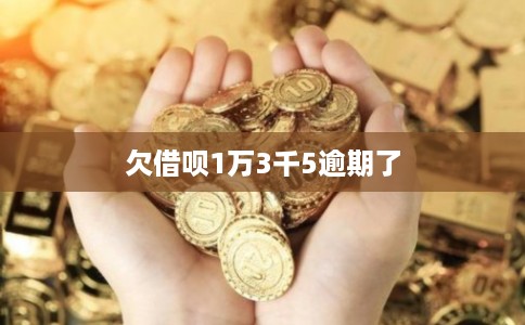 欠借呗1万3千5逾期了