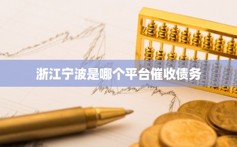 浙江宁波是哪个平台催收债务