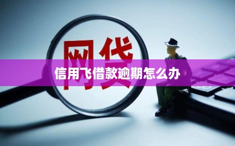 信用飞借款逾期怎么办 信用飞借款逾期怎么办