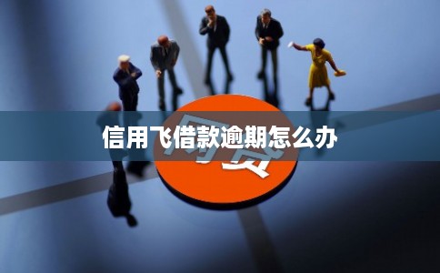 信用飞借款逾期怎么办