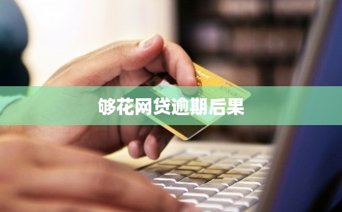 够花网贷逾期后果
