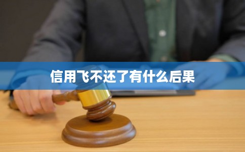 信用飞不还了有什么后果