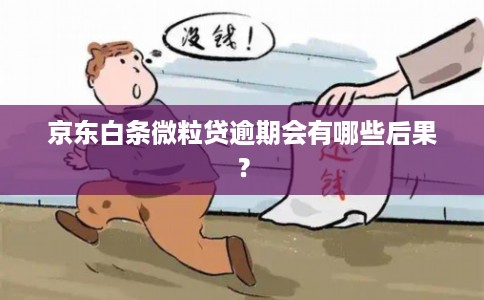 京东白条微粒贷逾期会有哪些后果？