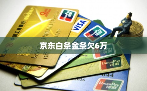 京东白条金条欠6万