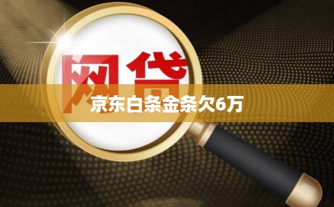 京东白条金条欠6万