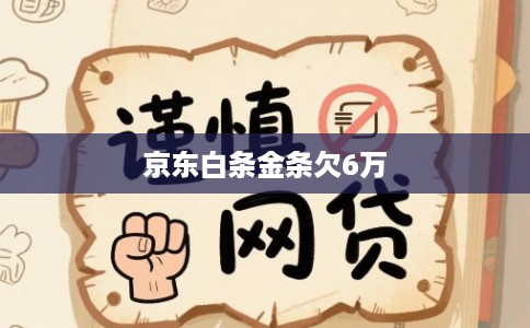 京东白条金条欠6万