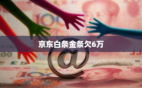 京东白条金条欠6万
