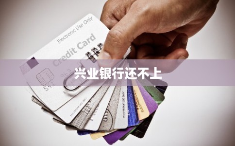 兴业银行还不上