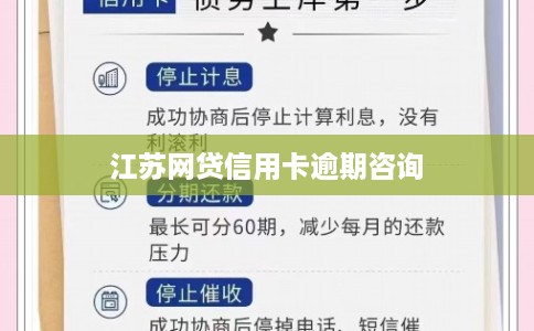 江苏网贷信用卡逾期咨询