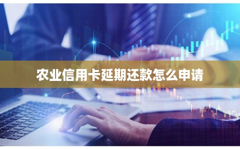 农业信用卡延期还款怎么申请