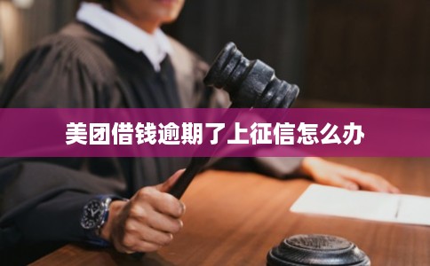 美团借钱逾期了上征信怎么办