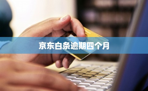 京东白条逾期四个月