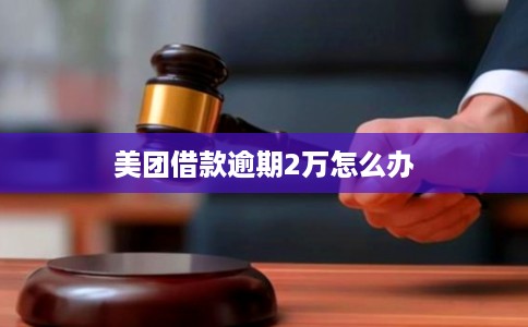 美团借款逾期2万怎么办 美团借款逾期2万怎么办