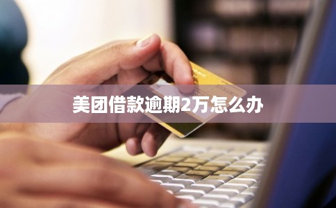 美团借款逾期2万怎么办 美团借款逾期2万怎么办