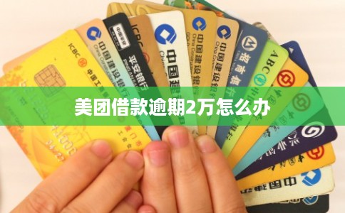 美团借款逾期2万怎么办