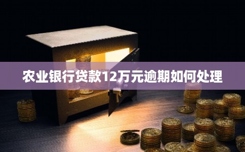 农业银行贷款12万元逾期如何处理 农业银行贷款12万元逾期如何处理