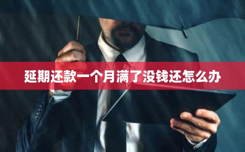延期还款一个月满了没钱还怎么办