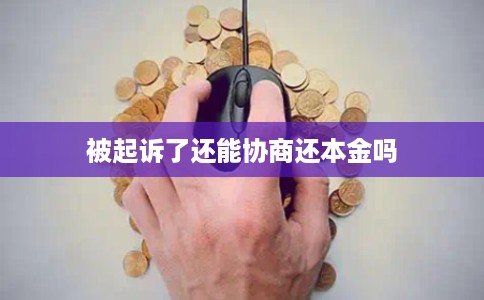 被起诉了还能协商还本金吗