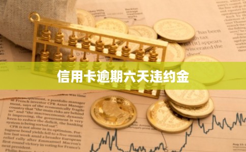 信用卡逾期六天违约金