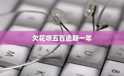 欠花呗五百逾期一年