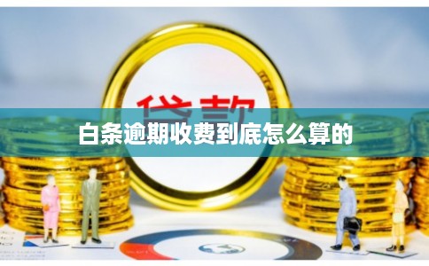白条逾期收费到底怎么算的 白条逾期收费到底怎么算的
