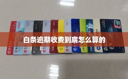 白条逾期收费到底怎么算的 白条逾期收费到底怎么算的